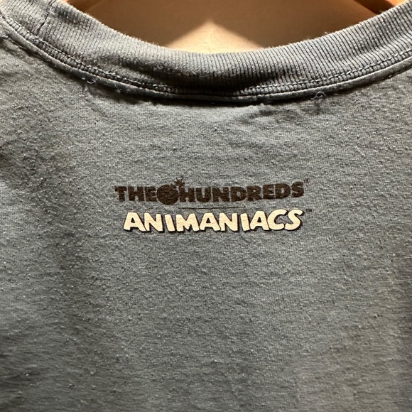 The Hundreds - Pinky & The Brain Animaniacs T-Shirt Medium - Picture 4 of 4